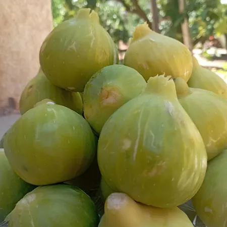 La Casa Di Nonna Teresa Сasa de vacaciones *